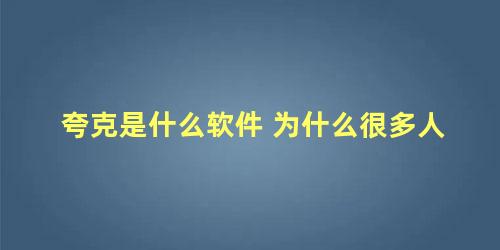 夸克是什么软件 为什么很多人